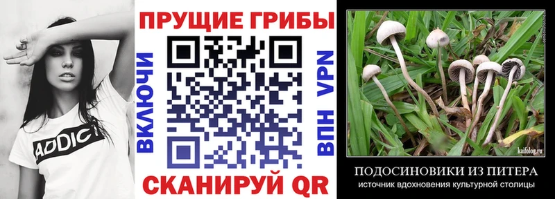 Галлюциногенные грибы GOLDEN TEACHER  Новоаннинский 