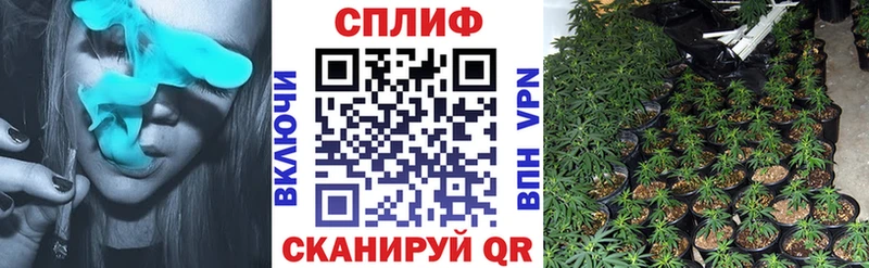 Каннабис Amnesia Новоаннинский